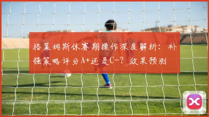 格莱姆斯休赛期操作深度解析：补强策略评分A+还是C-？效果预测