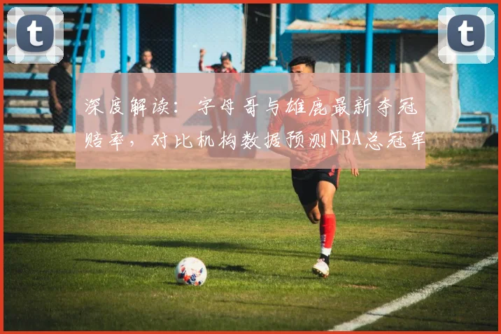 深度解读:字母哥与雄鹿最新夺冠赔率,对比机构数据预测NBA总冠军走势