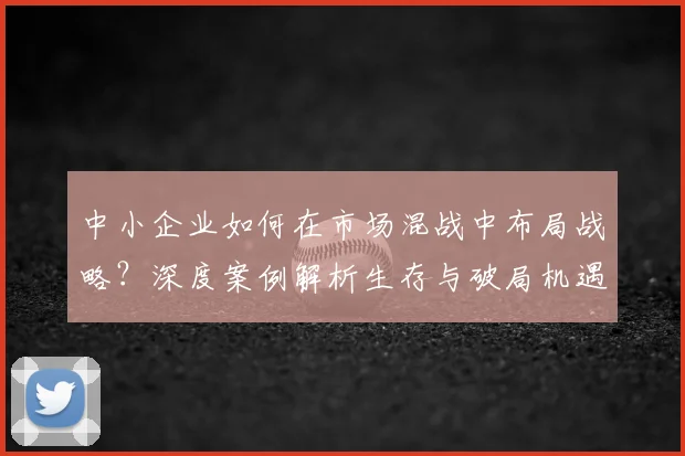 中小企业如何在市场混战中布局战略？深度案例解析生存与破局机遇